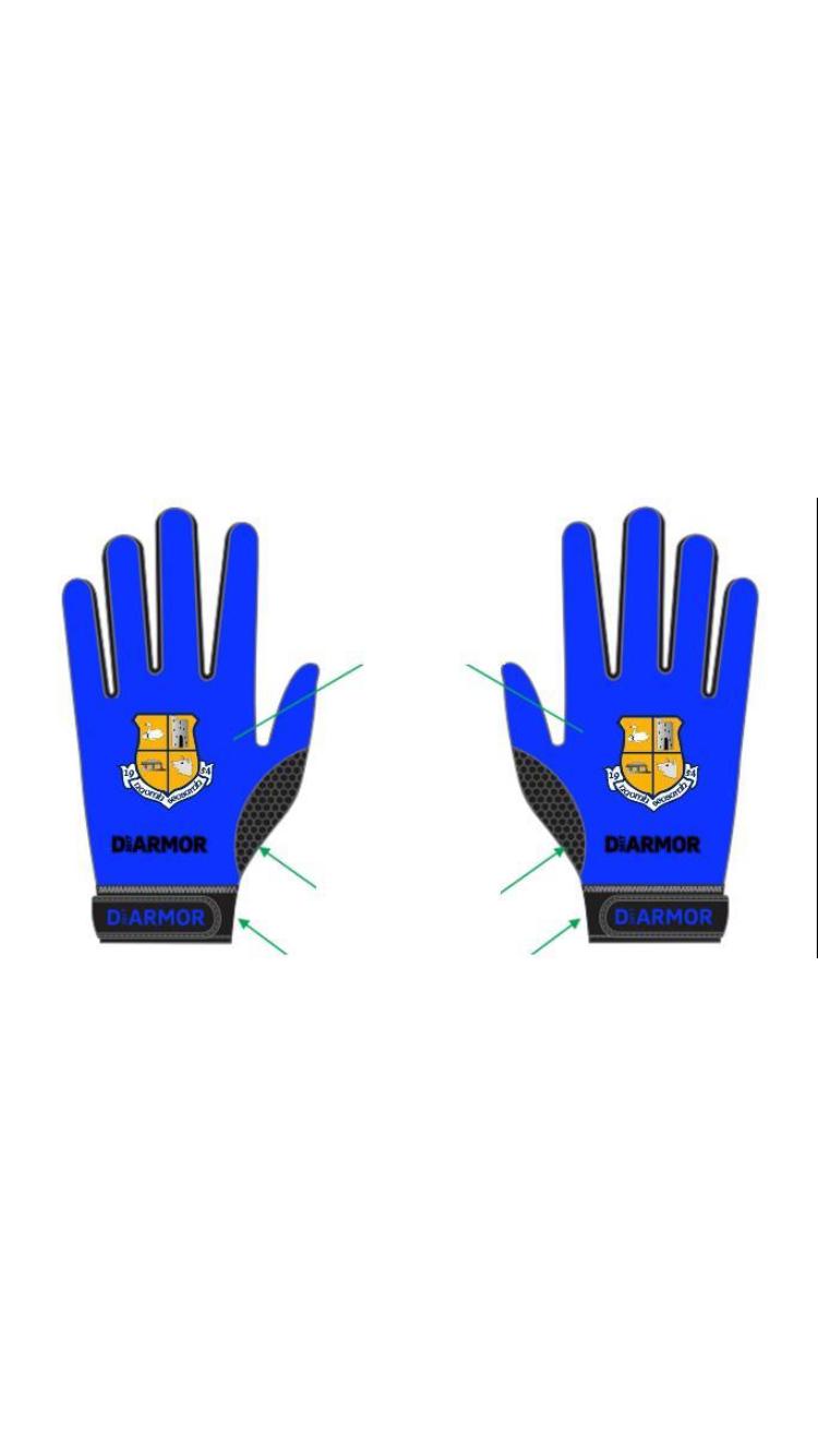 St. Joseph's Royal Blue Gloves - D ARMOR