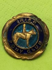 Irish Pony Club Badge
