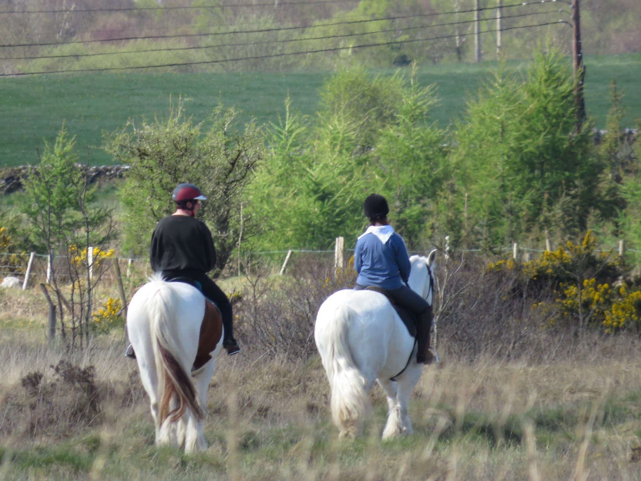 horse riding