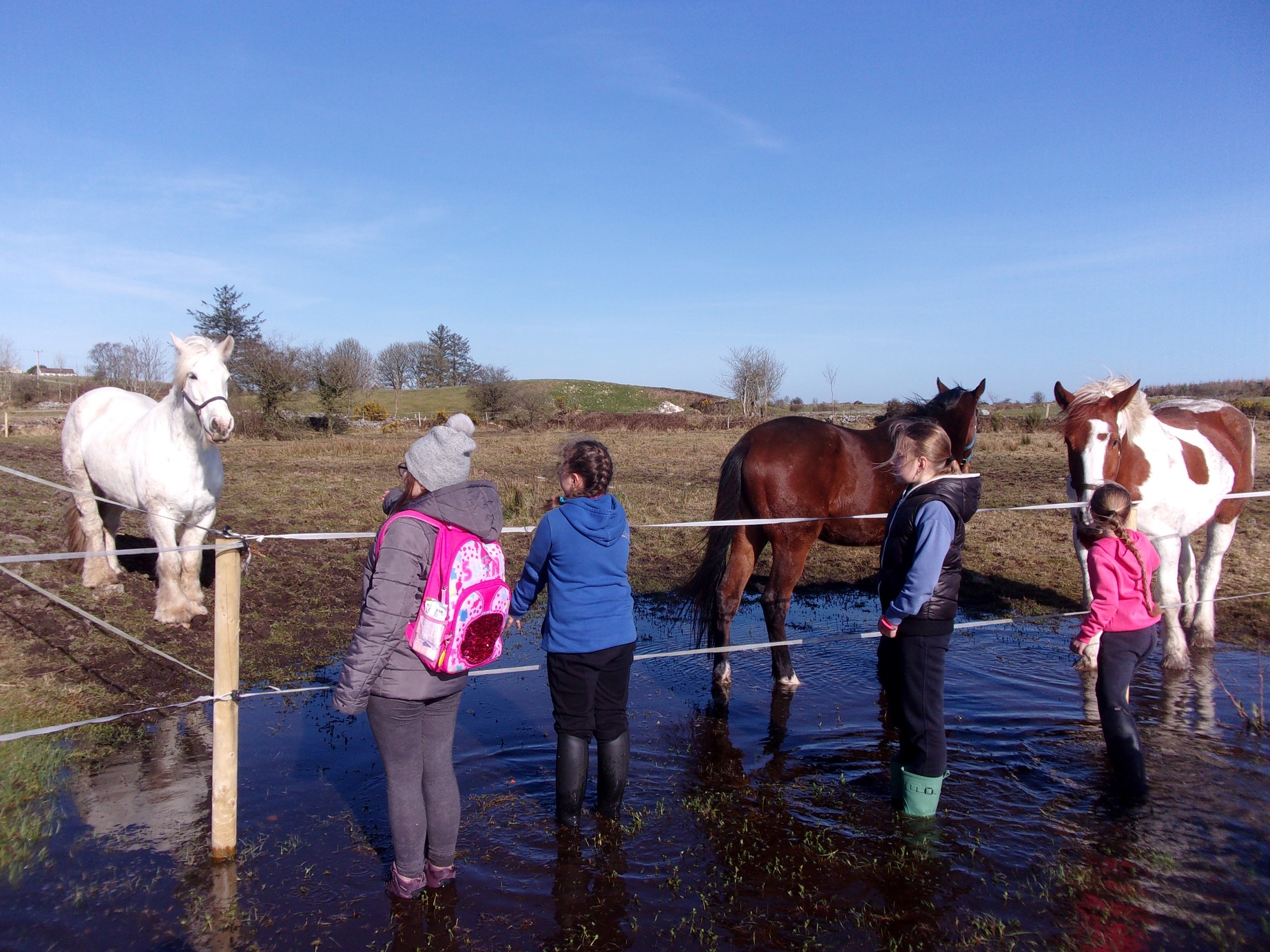 stable club